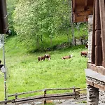Aux Pieds Du Malatra' 2 * Saint-Rhemy-En-Bosses